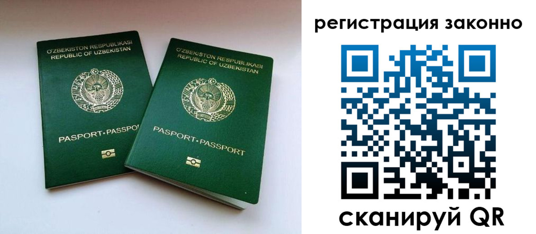 прописка гарантия в Шадринске
